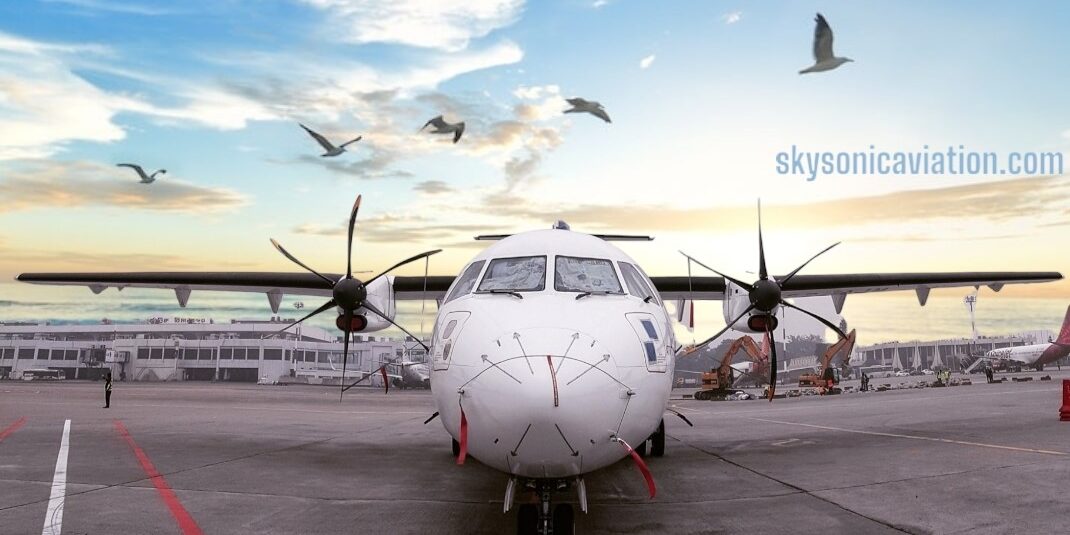 Page 20 | Avions De Transport Regional Atr 42 Images - Free Download on  Freepik