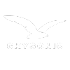 Skysonic Aviation